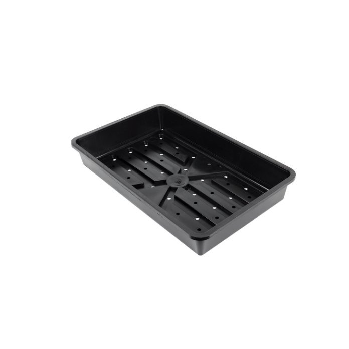 Sáðbakki með götum