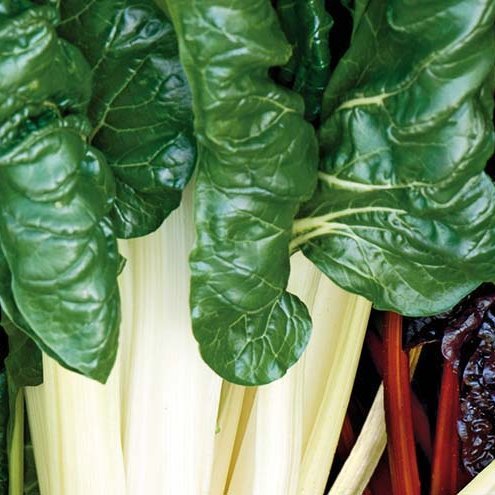 Beðja - White silver 2