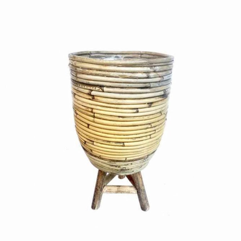 Bastpottur á fótum