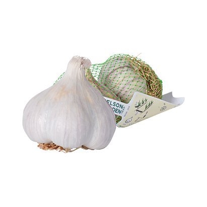 Germidour hvítlaukur