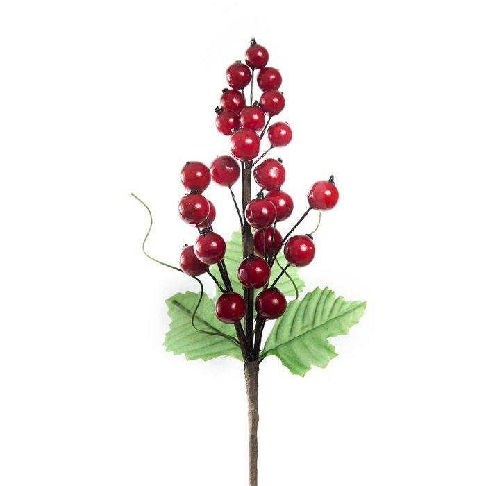 Skrautgrein með rauðum berjum