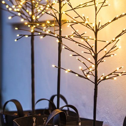 Noah ljósatré svart, hvít ljós  - úti