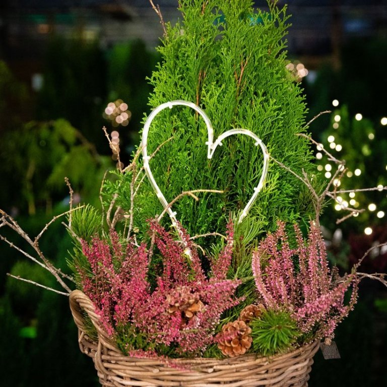 Útiskreyting, myndband 1