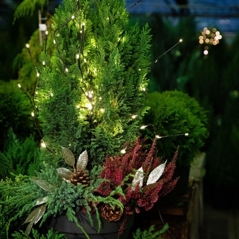 Útiskreyting, myndband 3