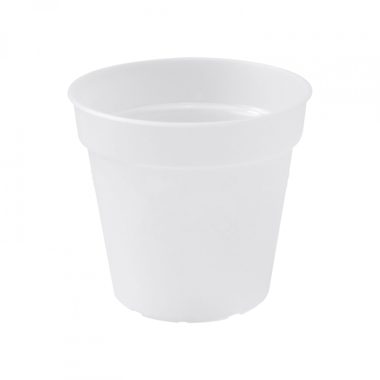 Green basic orkideupottur frá Elho - glær