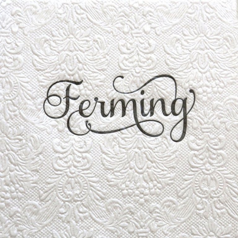 Pearl wihte upphleyptar servíettur - svart letur