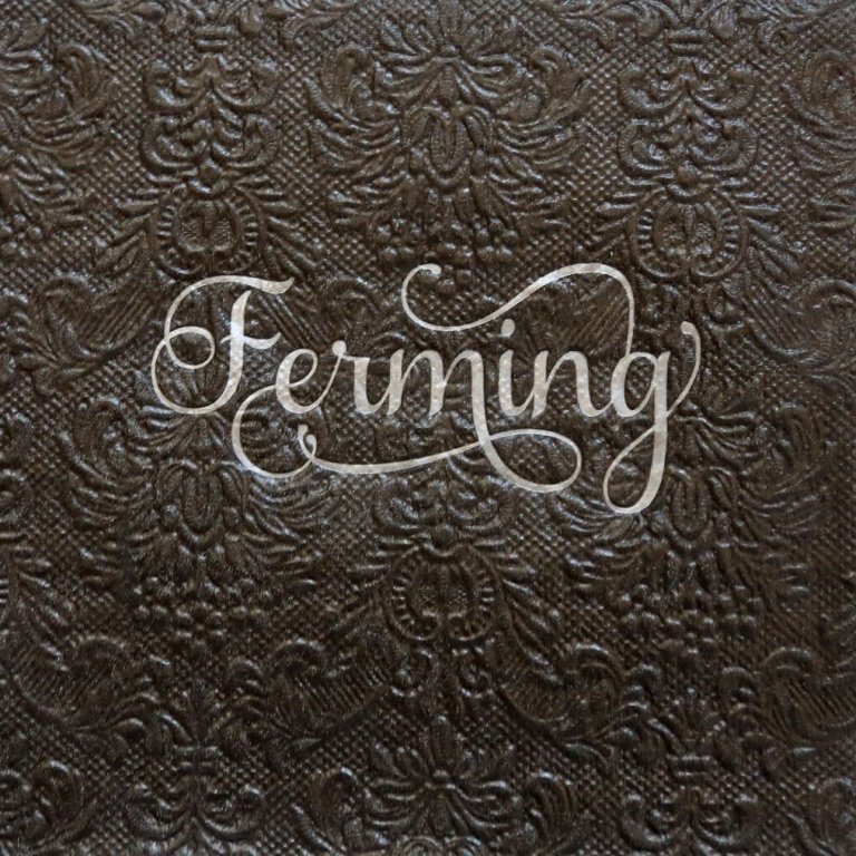 Svartar upphleyptar servíettur - silfrað letur