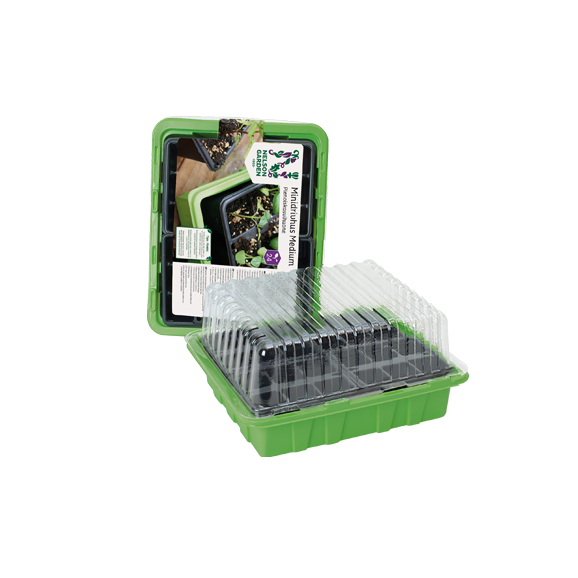 Mini gróðurhús - medium