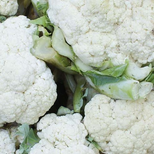Blómkál - Cauliflower