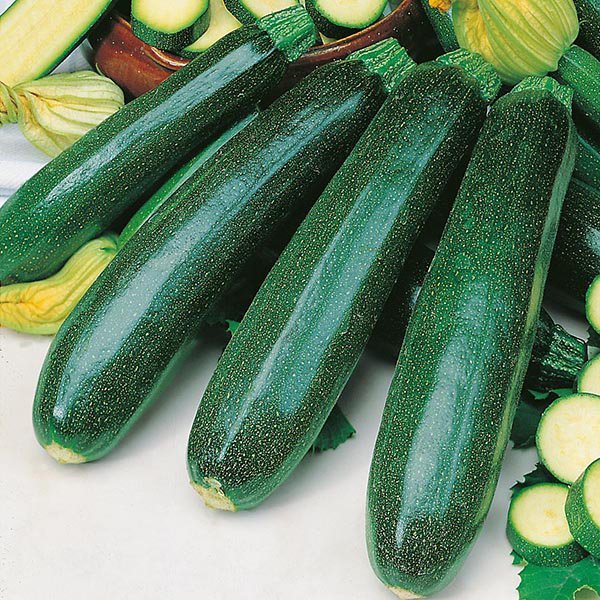 Kúrbítur - Courgette