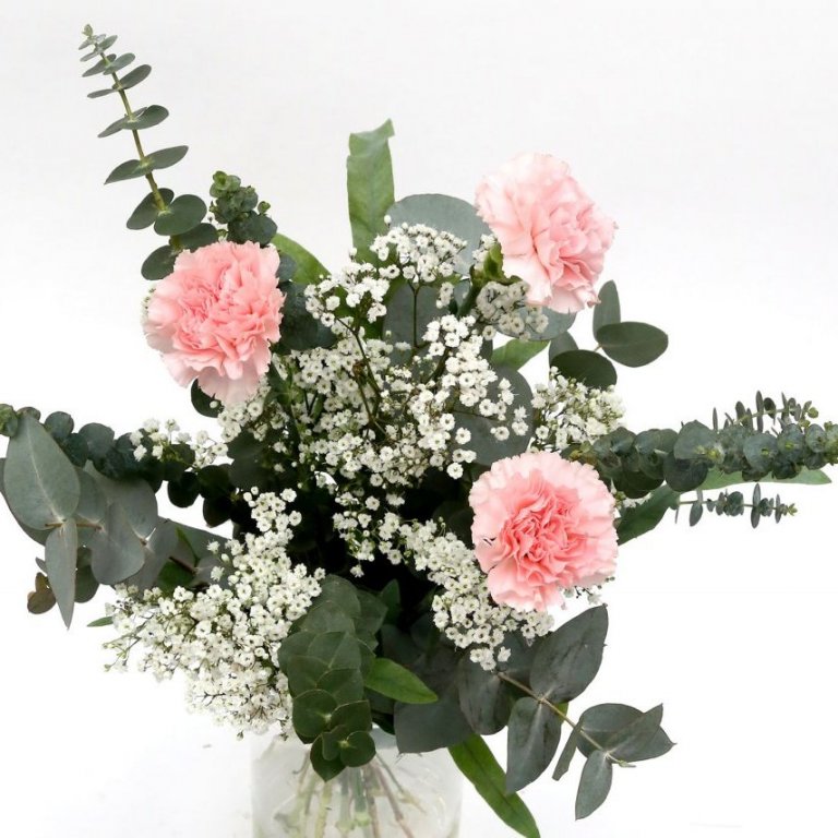 Smáeyjar - bleikar nellikur