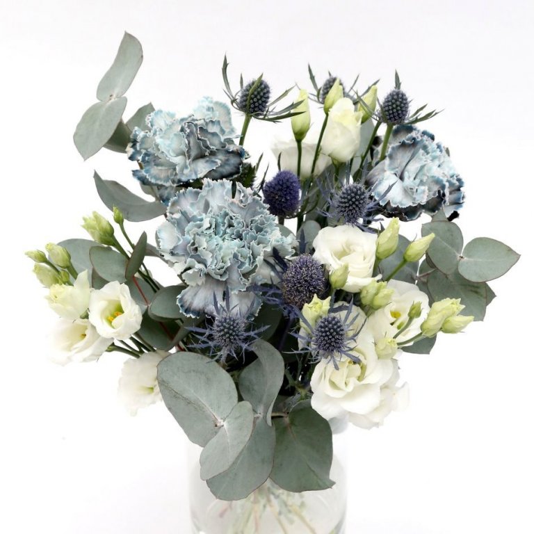 Heimaey - bláar nellikur