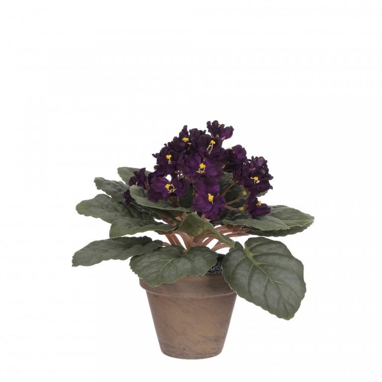 Saint Paulina silkiblóm í potti - fjólublátt