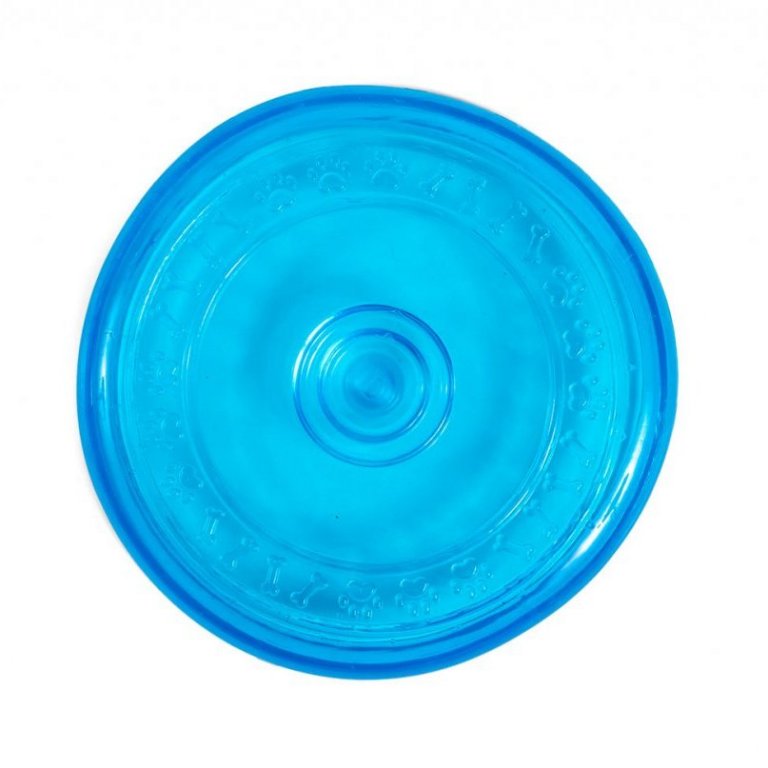 Rubber Frisbee