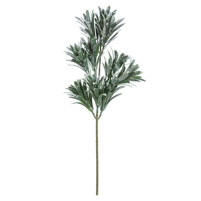 Laufgrein með snjó