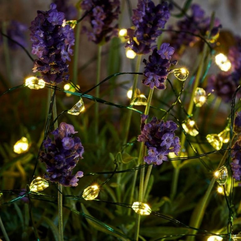 Maggie 40 ljósa sería, grænn vír - hvít ljós, batt úti